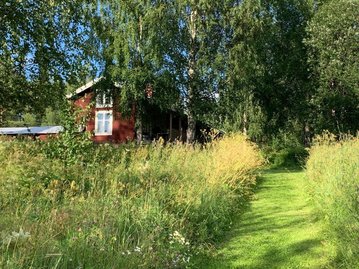 Bogaerdan, Cozy Cabin By The Lulea River Harads المظهر الخارجي الصورة